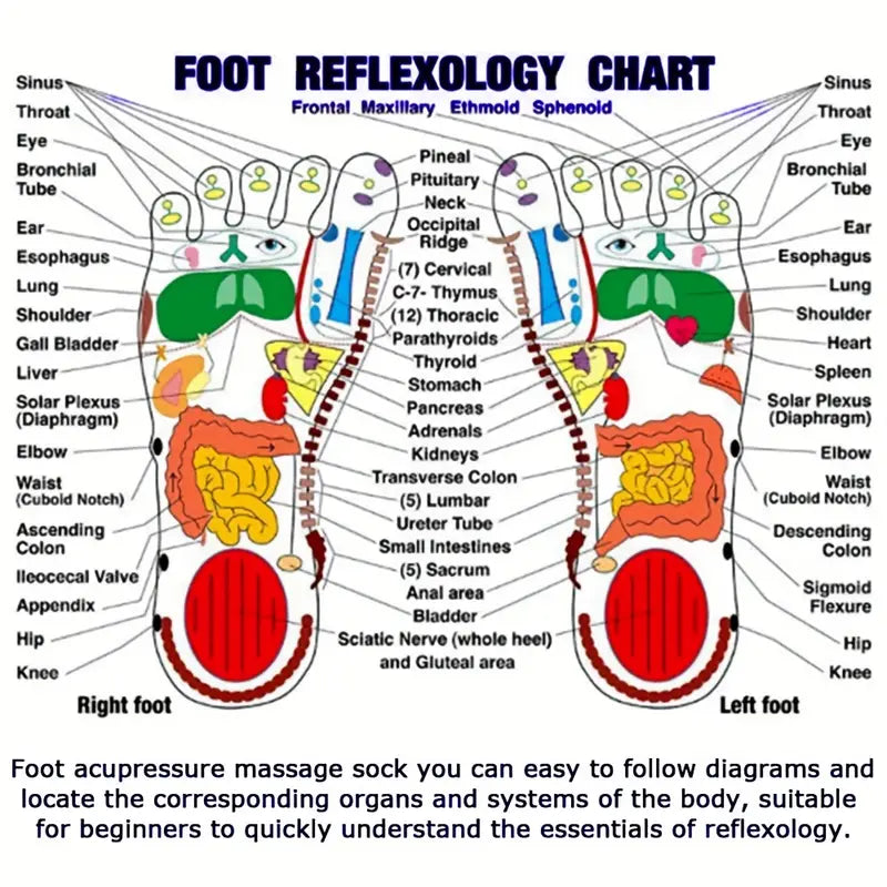 Reflexology Socks with Trigger Point Massage Tool