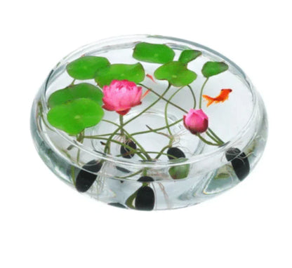 Premium Lotus Flower Seeds